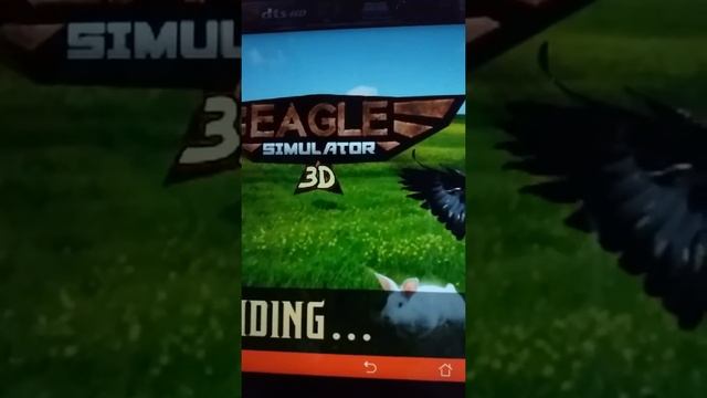 Wild Eagle Hunter Simulator 3D - кролик