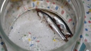 Засолка хамсы