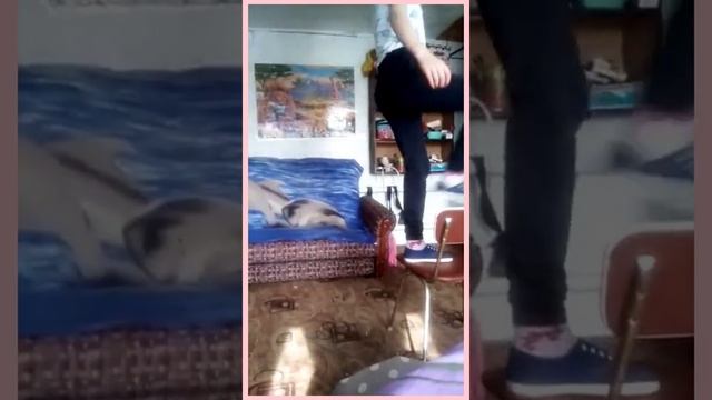 Занятия по лёгкой атлетике на карантине смотреть онлайн