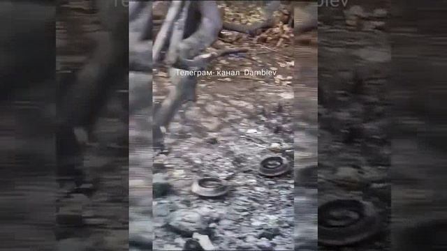 Два уничтоженных возле н.п. Малая Токмачка  Leopard 2A4/Two destroyed AFU Leopard 2A4 near Malaya To