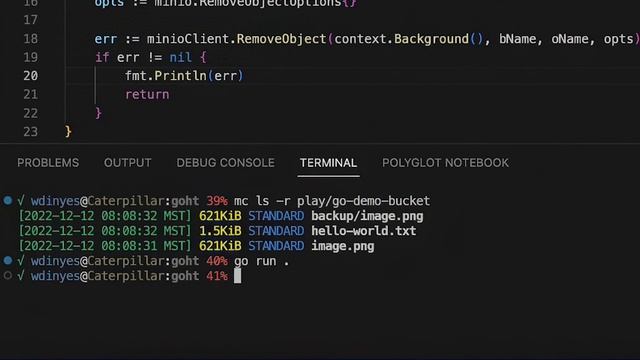 How To Delete Objects From MinIO Using Go смотреть онлайн