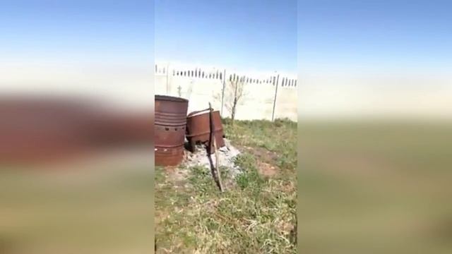 Пасхальная трудотерапия на церковном дворе