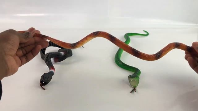 Резиновые фигурки «Змеи» 55 см. H30ABC / 3 шт.Резиновые фигурки «Змеи» 55 см. H30ABC / 3 шт. смотреть онлайн