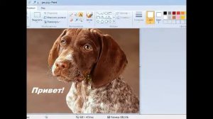 Обработка изображений в программе Paint 7