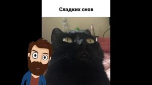 Приколы! ЛЕГЕНДА О КОТЕ - МЕМЫ!!! Смешные видео от – Доми шоу!