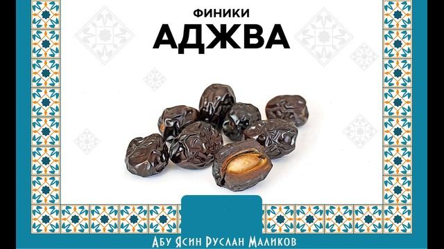 «Сунан Абу Дауд». Хадис № 3875 - Энциклопедия хадисов