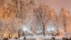 Чертог волка 25 февраля — 22 марта Круг Сварога гороскоп Русских