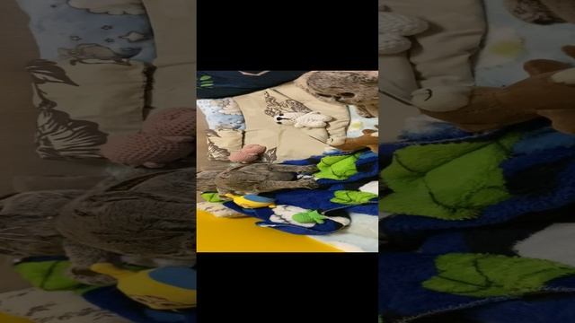 2022-11-01 смотреть онлайн