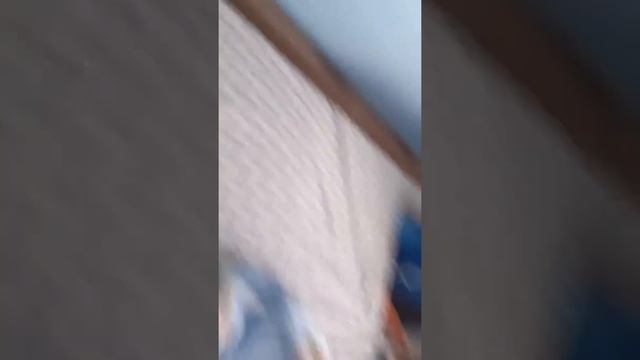 кошка алиса скоро пеобредёт имя! смотреть онлайн