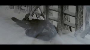 БЛОКАДА ЛЕНИНГРАДА  ХРОНИКА  СОЦИАЛЬНЫЙ РОЛИК