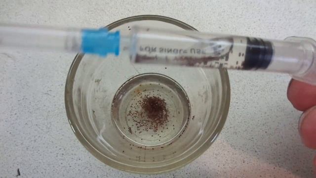 ПЕТУНИЯ. ЗАМАЧИВАЮ СЕМЕНА ПЕРЕД ПОСЕВОМ. Ольга Чернова. смотреть онлайн