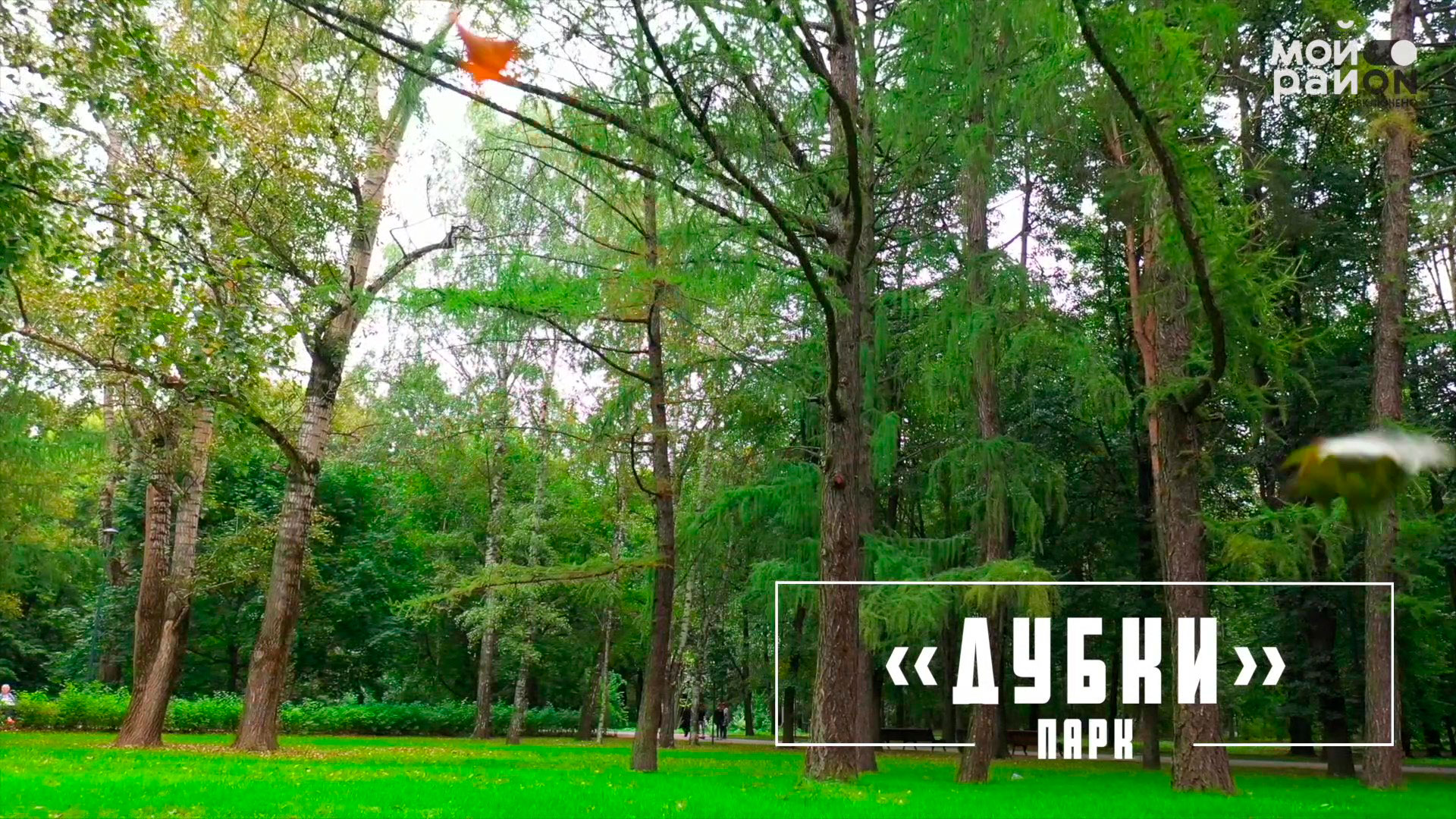 Парк Дубки: романтическое место в Тимирязевском районе