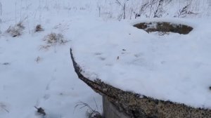 Запуск летающих фейерверков "Огненные пчёлы".
