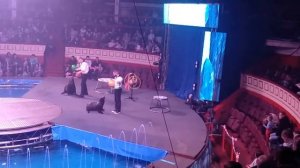 ЦИРК НА ВОДЕ. Часть 2