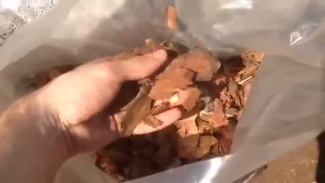 Кора сосны для мульчирования (средняя фракция 2-6 см) - самый популярный вид мульчи. «Цветники РУ». смотреть онлайн