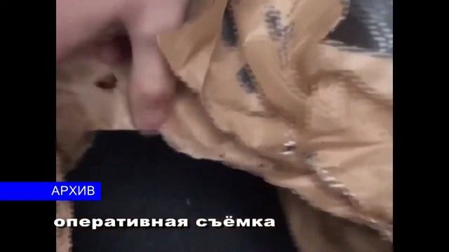 С 1 июня по 15 сентября в республике проводится специальная программа «Мак» смотреть онлайн