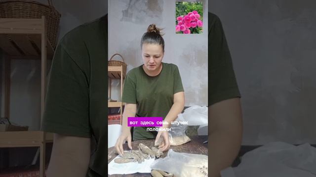 Посылка с георгинами, распаковка посылки, обзор