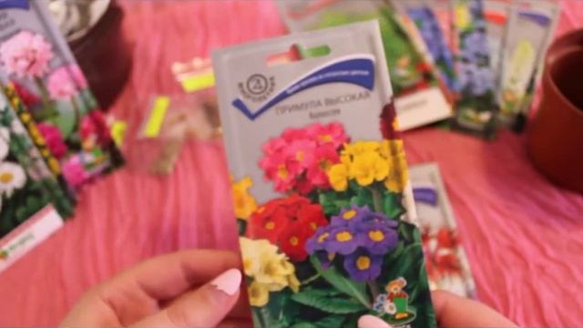 СЕМЕНА ЦВЕТОВ. Обзор семян на сезон 2019 года смотреть онлайн