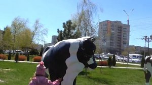 Смотрим фигуры КОРОВ Домашних животных около МКС Ставрополь Развивающее занятие #AlisebabyTV