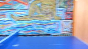 Учимся играть в настольный теннис, первые шаги в настольном теннисе