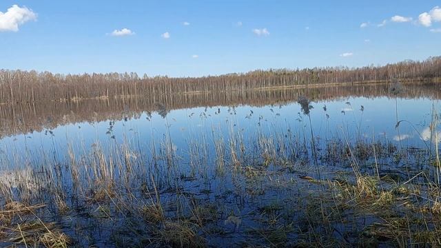 Озеро Светлояр Нижегородская область. Сказочное место