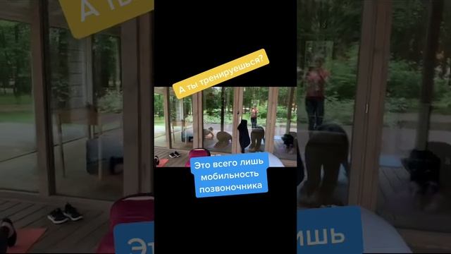 Развиваем мобильность позвоночника - Пилатес онлайн для здоровья спины.