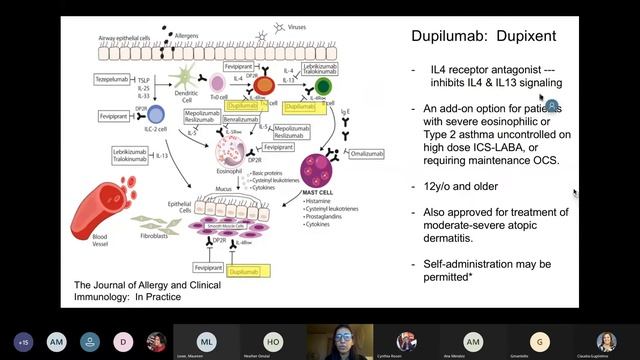 Asthma Guideline Series Part 2
