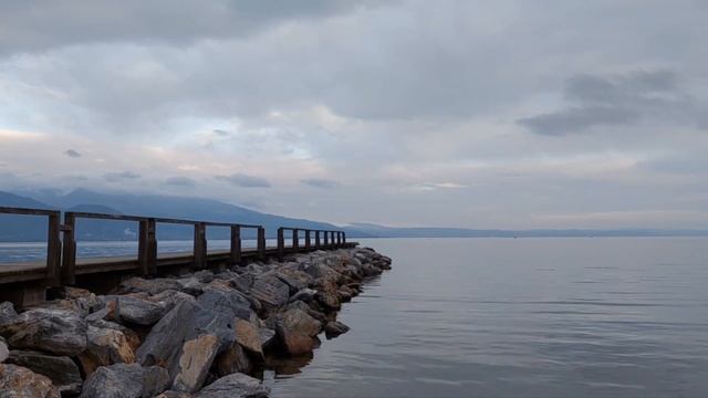 Агрия Аликес Волос-Там Где Растут Камелии смотреть онлайн