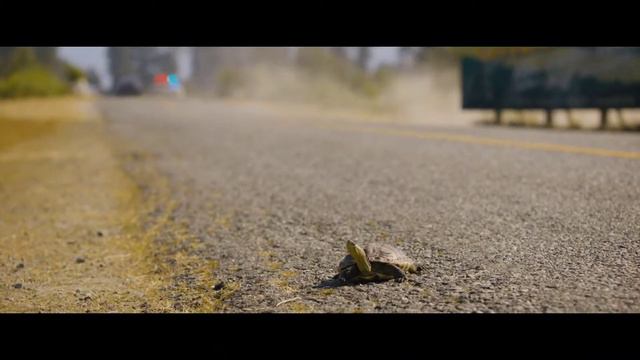 Sonic (2019) // Sonic corre con la tortuga// Audio original смотреть онлайн