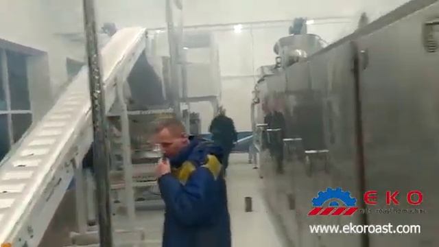 Печь для обжарки семечек EKO 500