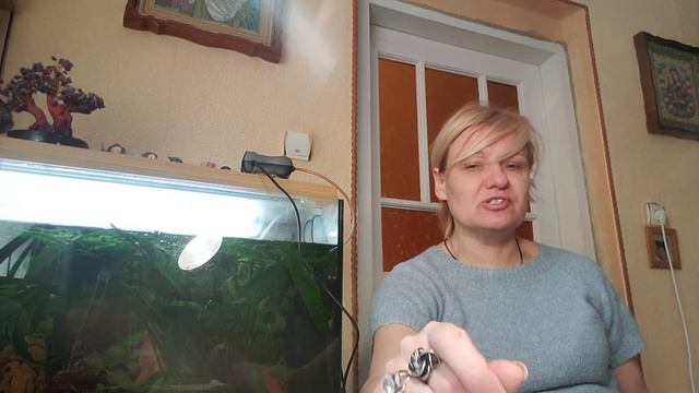 УКРАЇНСЬКІ ЗЕМЛІ У СКЛАДІ ЧЕХОСЛОВАЧЧИНИ В 20 - 30р.р. ХХст. #історіяУкраїни#10клас