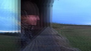 лось на гону. Охота интересная, но нерезультативная.