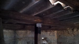 Жизнь в деревне. Сажаем бананы, встречаем холода.