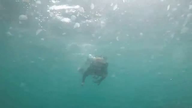 Глубины Черного моря смотреть онлайн