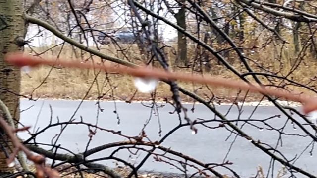 3 ноября-праздник ИЛЛАРИОНОВ ДЕНЬ.Какие опасности подстерегают на дороге. Народные приметы. Поверья