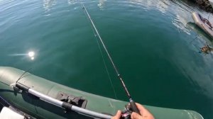 Баренцево море / Ловим ТРЕСКУ / Камбалу и многое другое