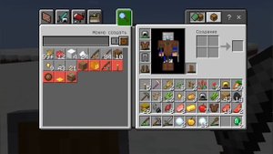 Как попасть в зимний биом в Майнкрафт