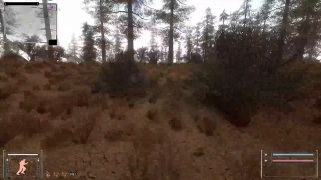 S.T.A.L.K.E.R. Тёмное Братство - Проклятые Зоной #9. Побывали на том свете смотреть онлайн