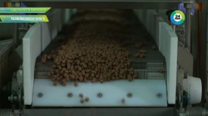 Завод "Глобал Петфуд" на МИР 24, "Сделано в Евразии"