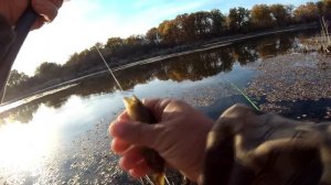 Ловля карася на поплавок! Жор в октябре на лесном озере