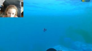 КАК БЫСТРО ПРОКАЧАТЬСЯ В ИГРЕ Feed and Grow Fish