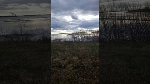 Open Space II смотреть онлайн