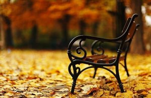 Суббота! Доброе Утро и Хорошего Дня Субботы!