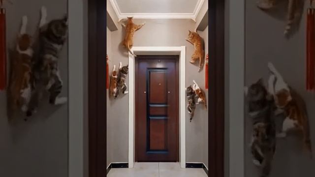 Где такие крепкие обои найти???? смотреть онлайн