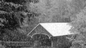 Mелодия Раймонд Паулс - Любовь Настала