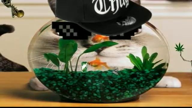 Подборка фотошопа смотреть онлайн