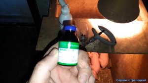 Эстрофан свиноматкам! Что и Как делаю с поросятами!