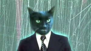 Enjoykin Котщик