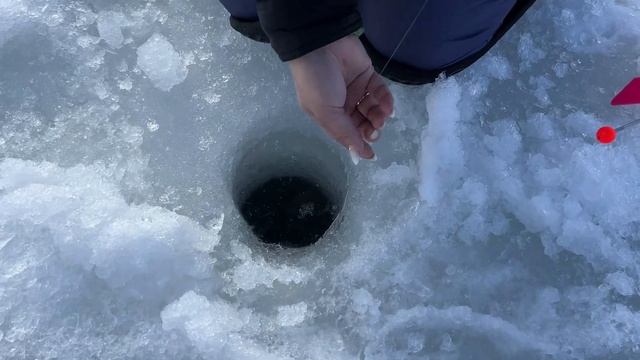 Рыбалка на форель в Талгаре, горный и красивый водоем TROUT AREA PARK, рыбалка близ Алматы смотреть онлайн