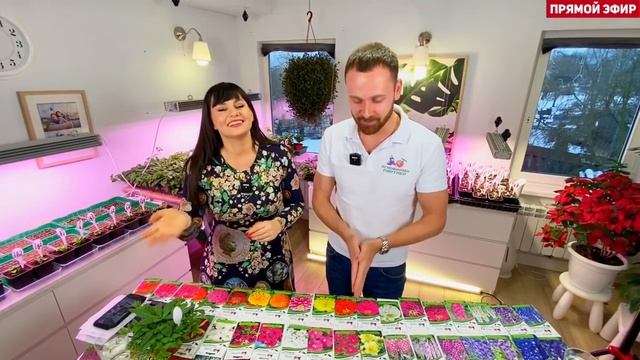 Прямой эфир. В гостях директор Агрофирмы Партнер. смотреть онлайн